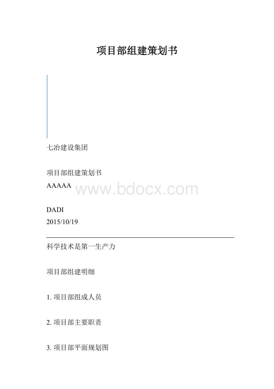 项目部组建策划书.docx