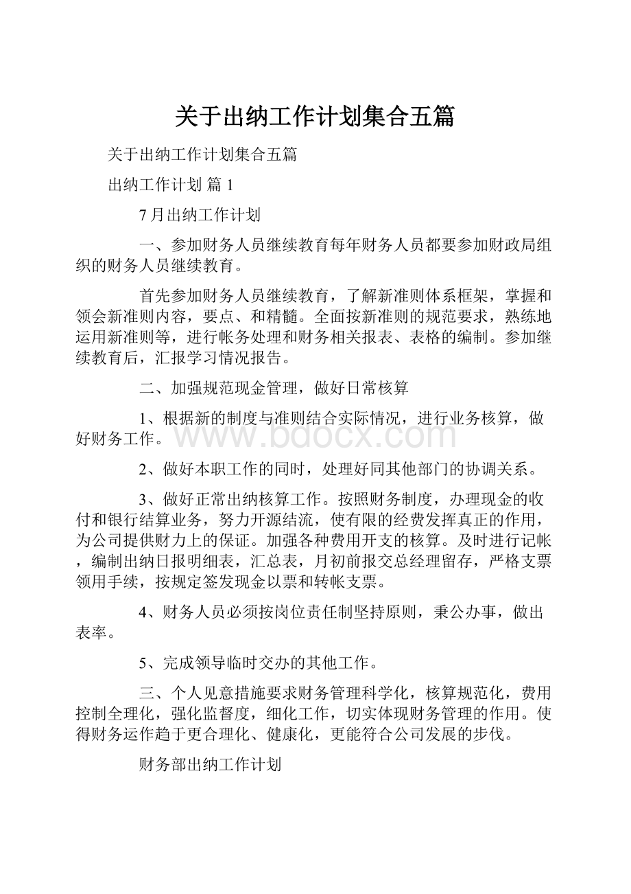 关于出纳工作计划集合五篇.docx