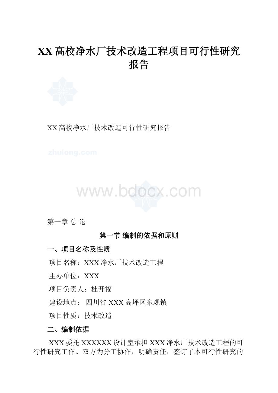 XX高校净水厂技术改造工程项目可行性研究报告.docx