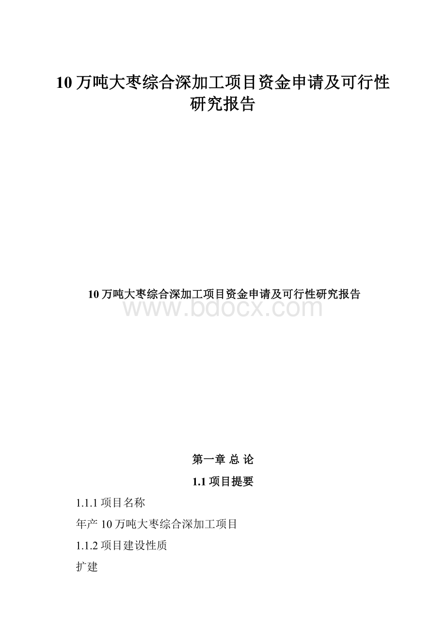 10万吨大枣综合深加工项目资金申请及可行性研究报告.docx_第1页