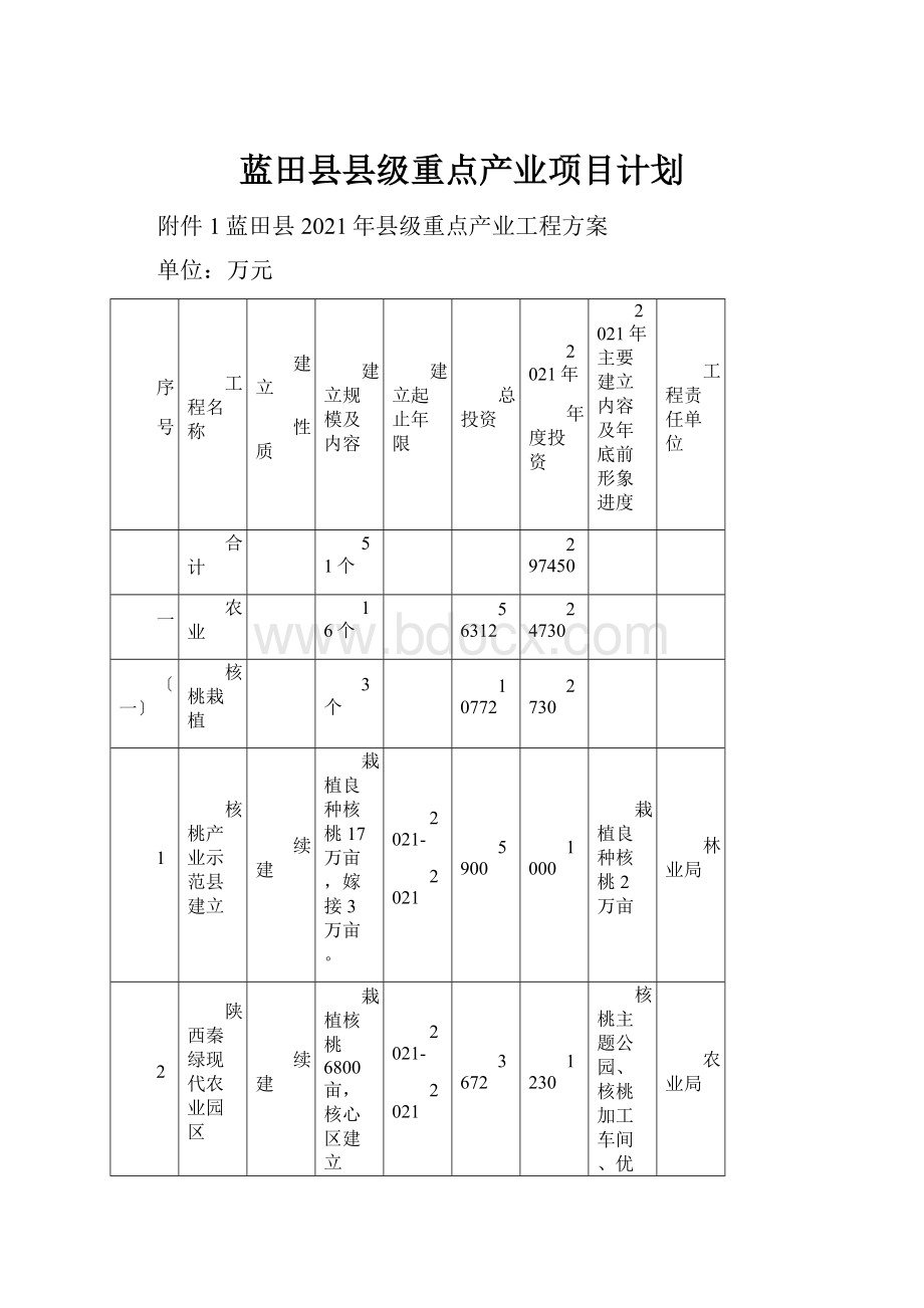 蓝田县县级重点产业项目计划.docx