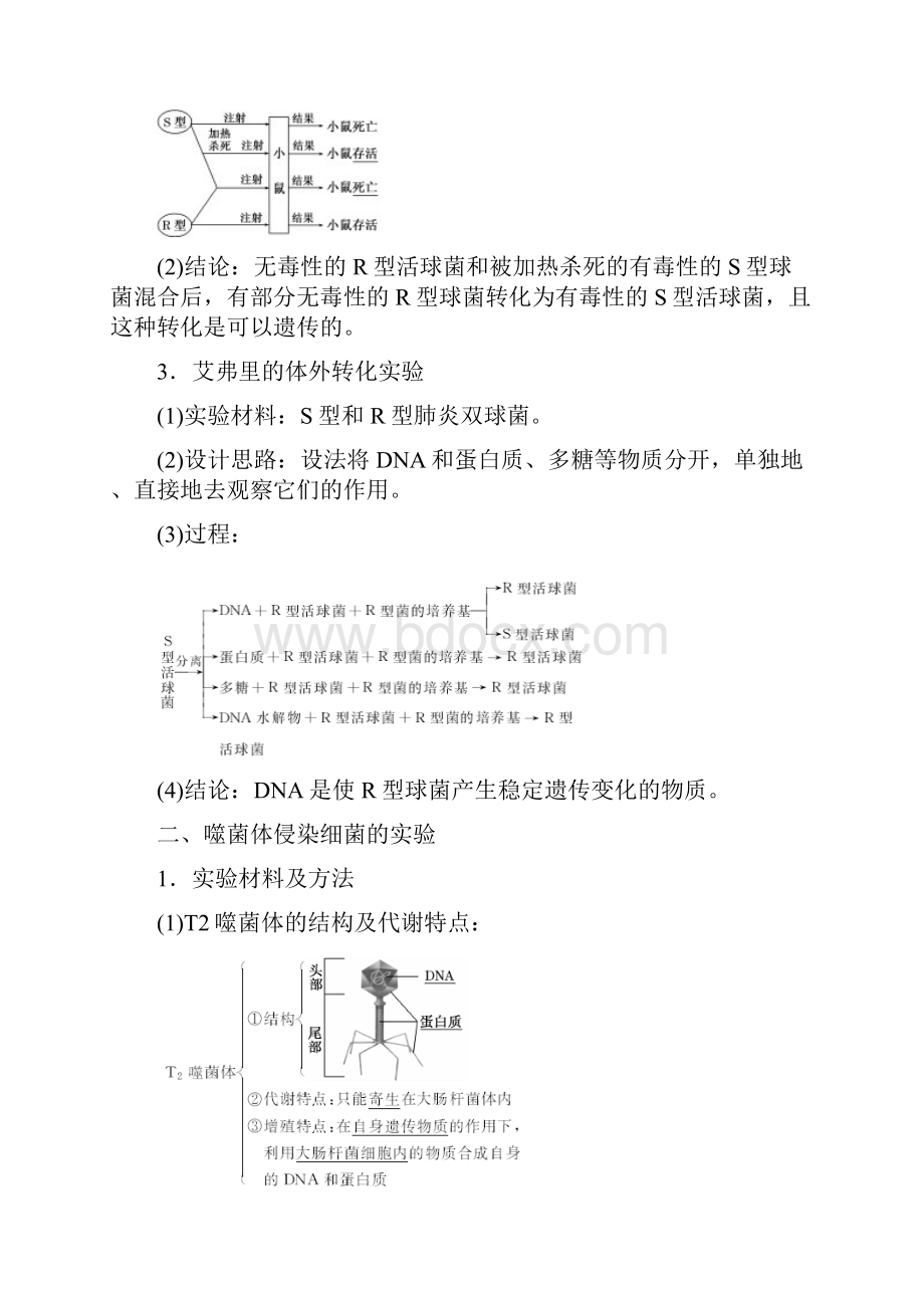 高一生物苏教版必修二教学案第四章 第一节 探索遗传物质的过程 含答案.docx_第2页