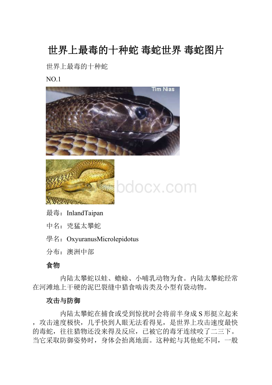 世界上最毒的十种蛇 毒蛇世界 毒蛇图片.docx