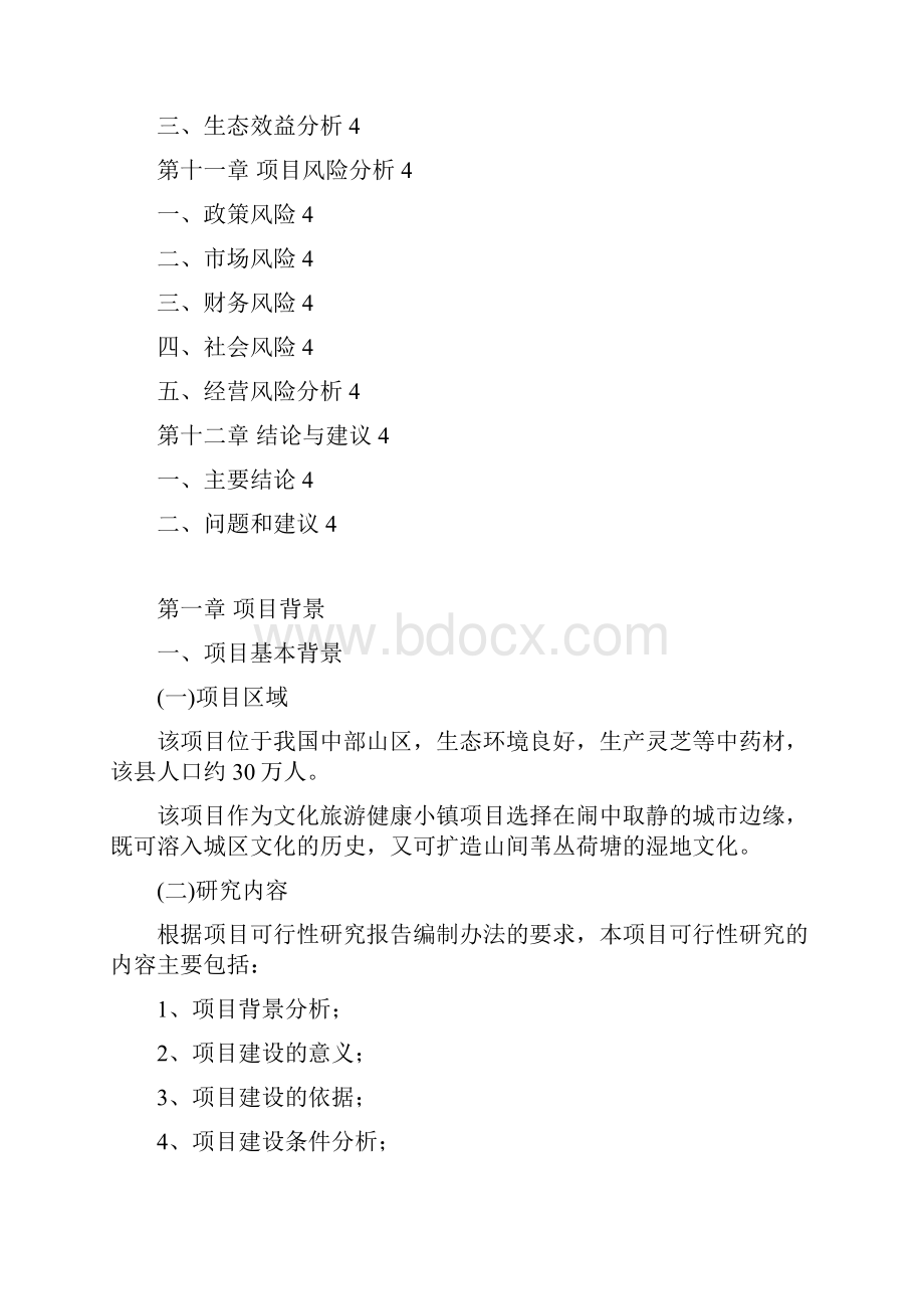 特色健康小镇建设规划.docx_第3页