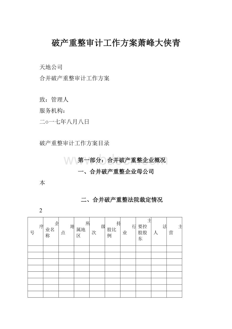 破产重整审计工作方案萧峰大侠青.docx_第1页