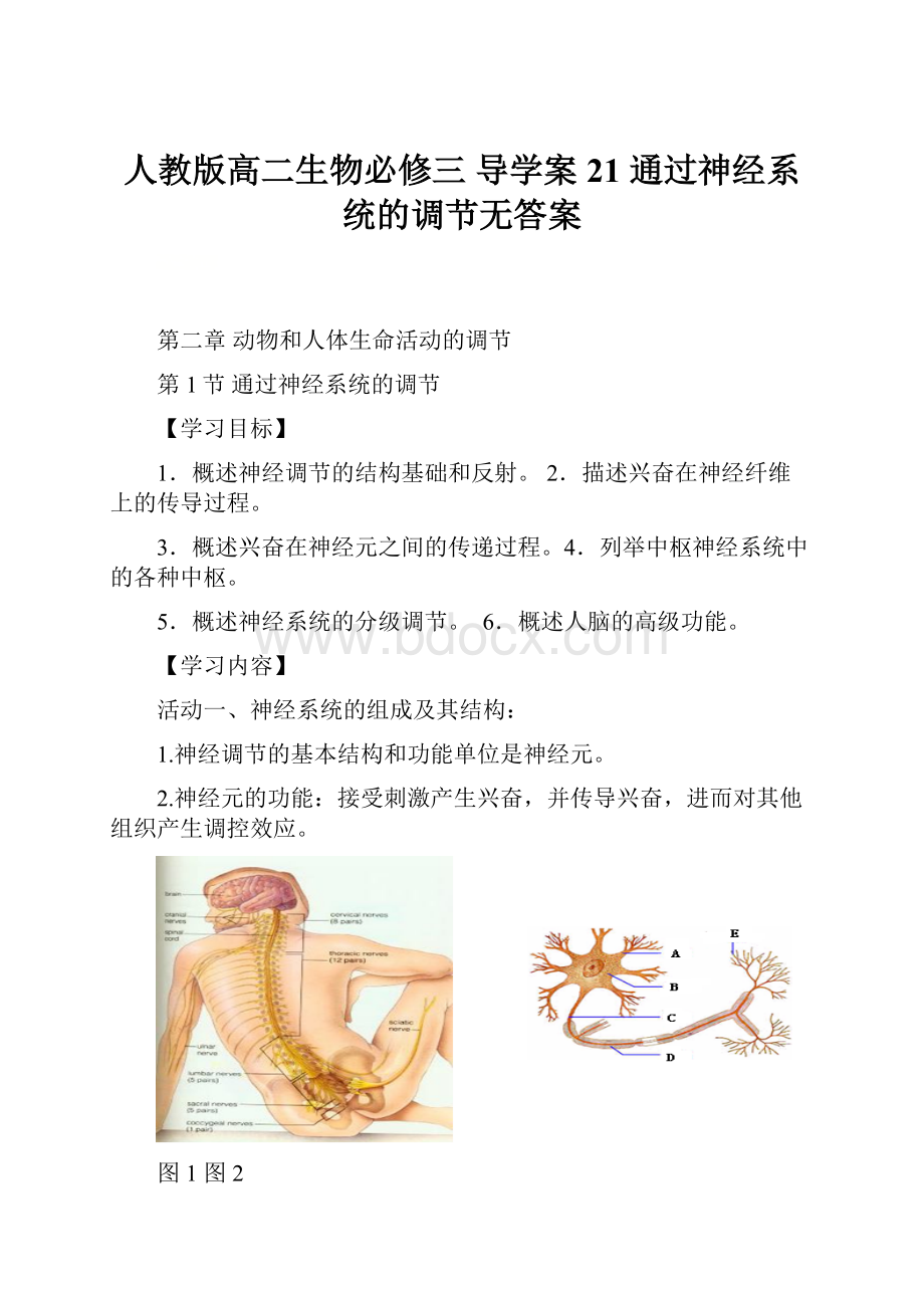 人教版高二生物必修三 导学案21 通过神经系统的调节无答案.docx_第1页