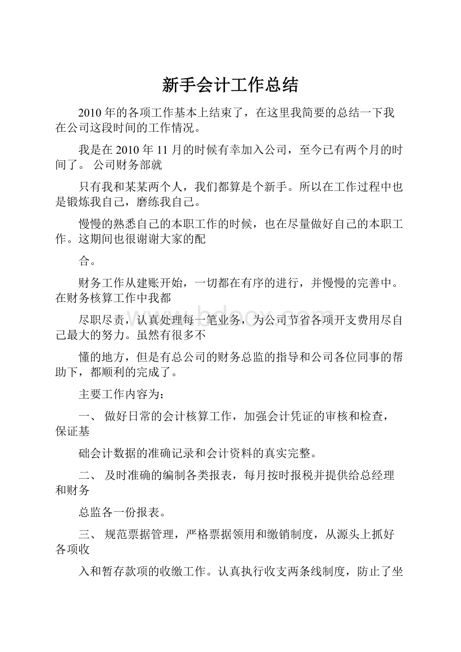 新手会计工作总结.docx