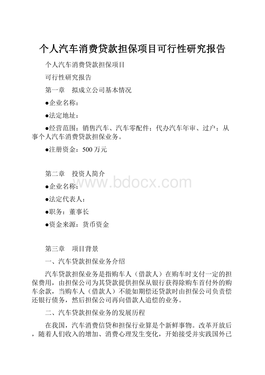 个人汽车消费贷款担保项目可行性研究报告.docx_第1页