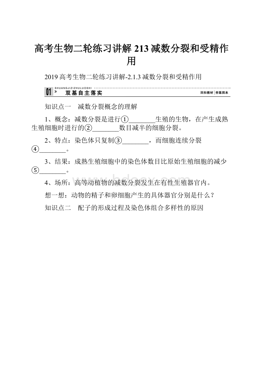 高考生物二轮练习讲解213减数分裂和受精作用.docx