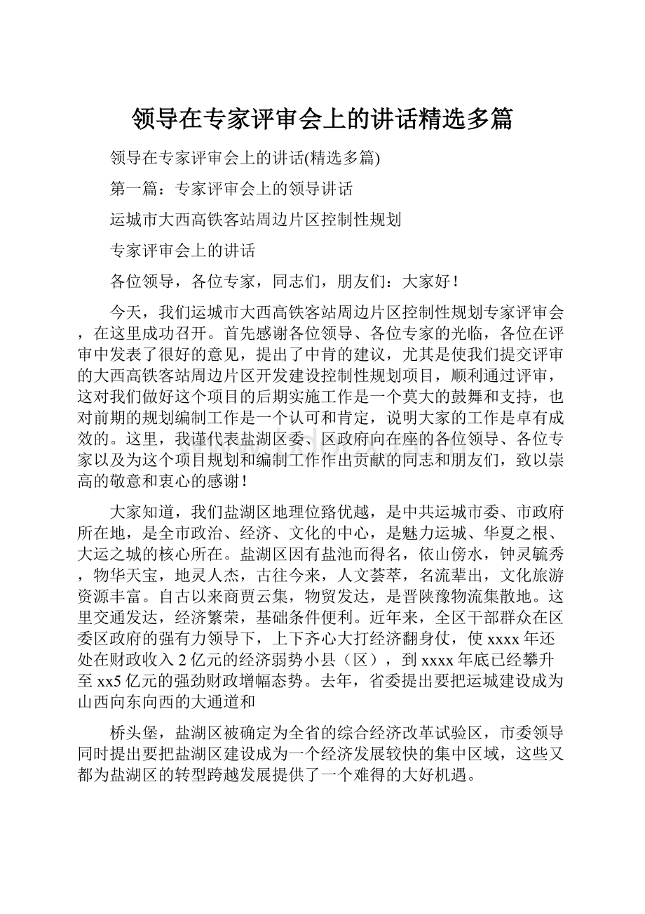 领导在专家评审会上的讲话精选多篇.docx