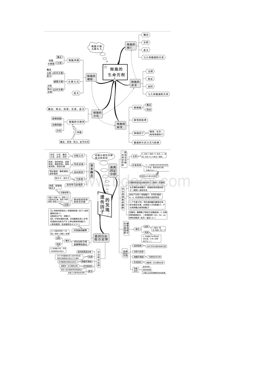 高考生物全套思维导图精编精校版.docx_第3页