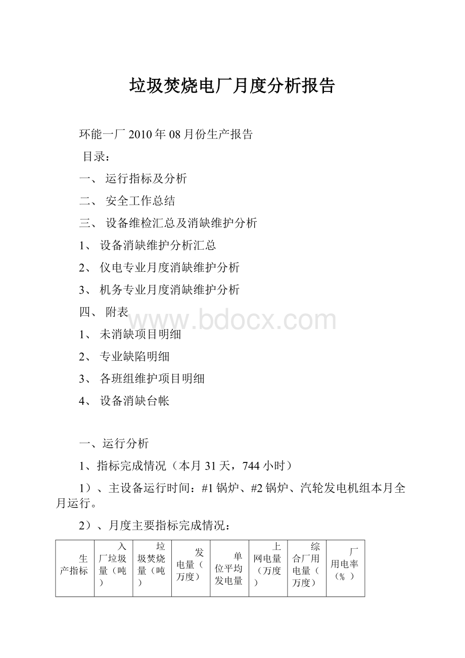 垃圾焚烧电厂月度分析报告.docx