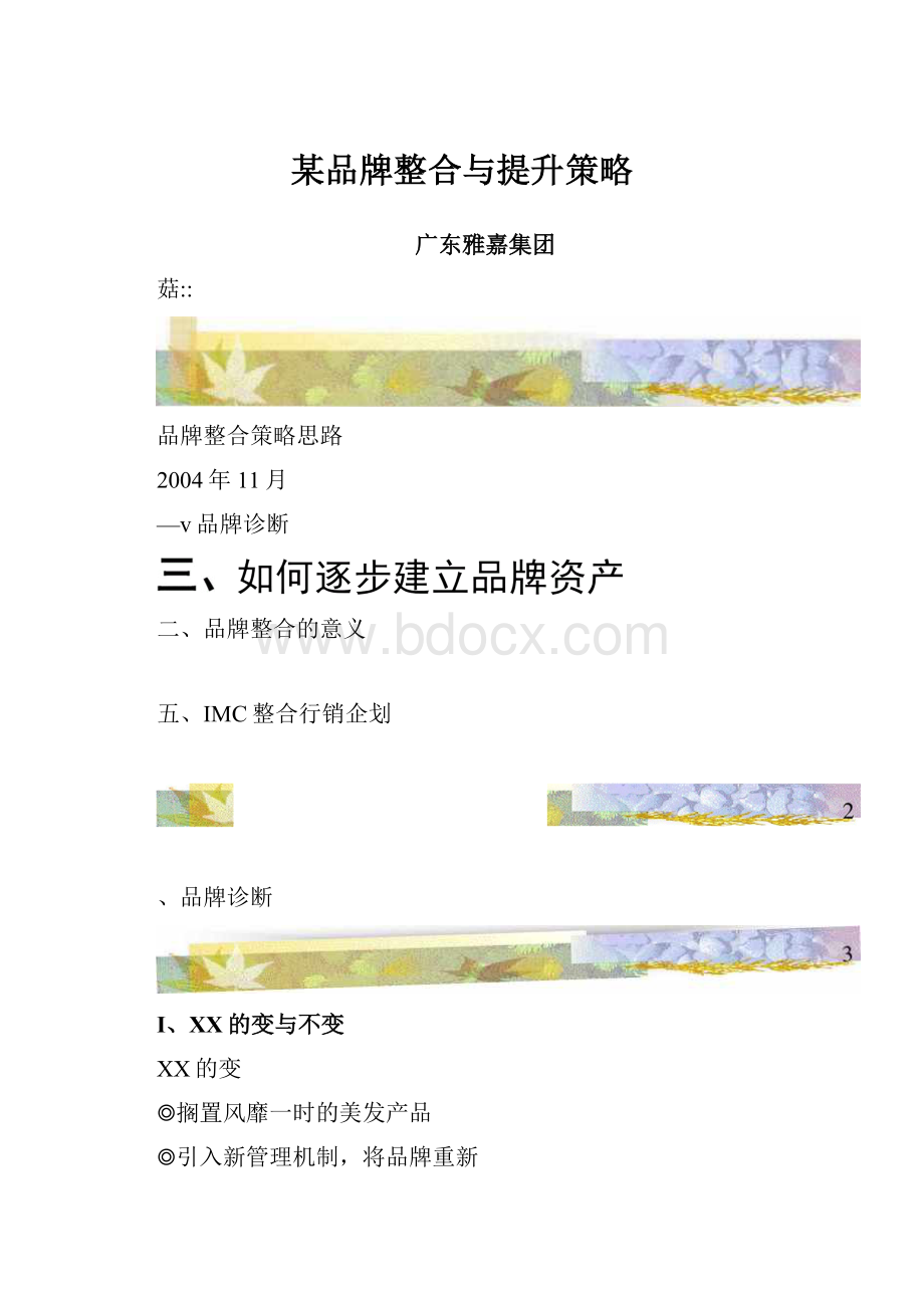 某品牌整合与提升策略.docx_第1页