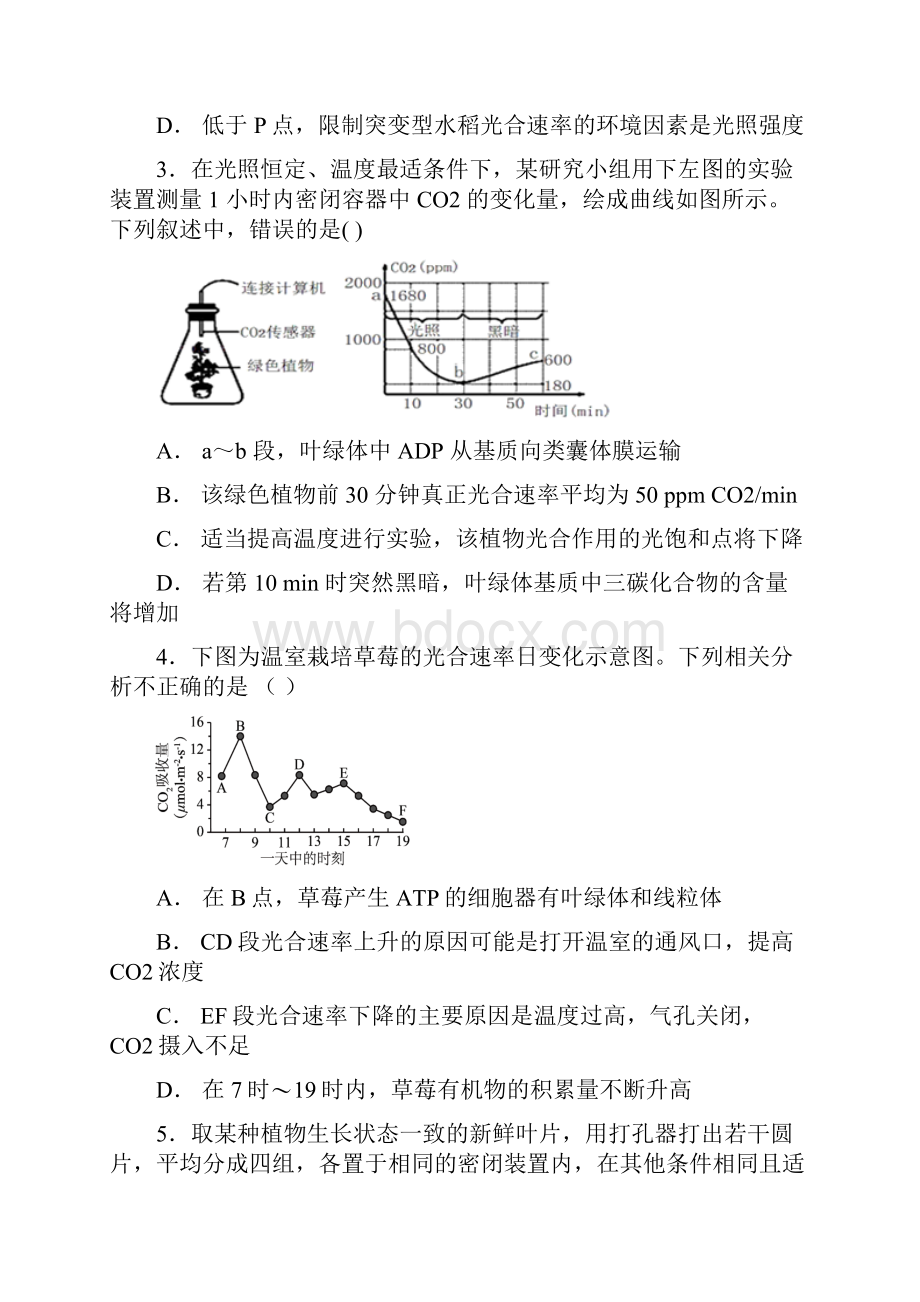 省重点高中 表现光合作用与呼吸作用 测试题.docx_第2页