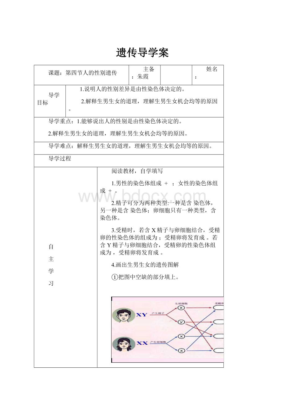 遗传导学案.docx