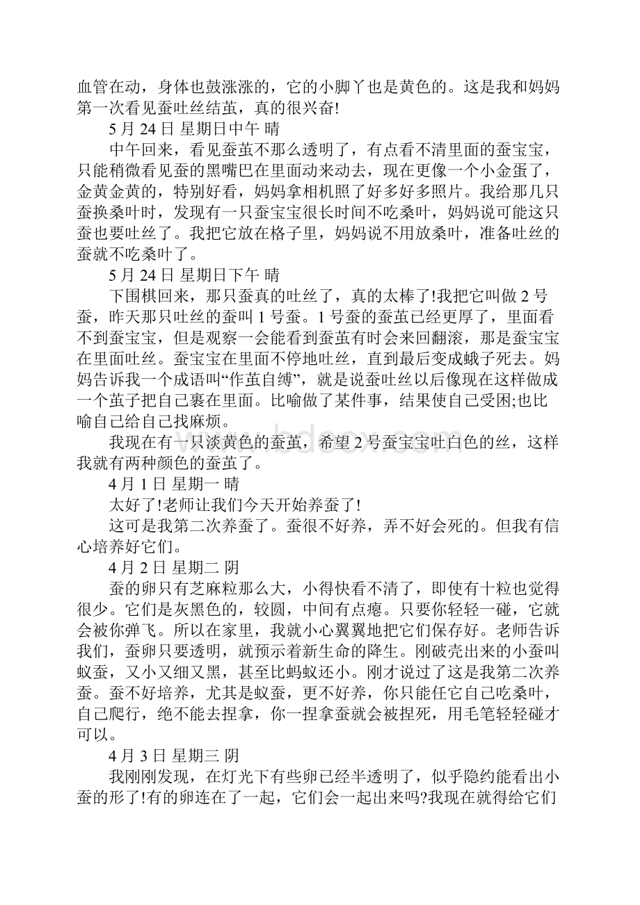 小学三年级语文作文蚕宝宝观察日记.docx_第2页