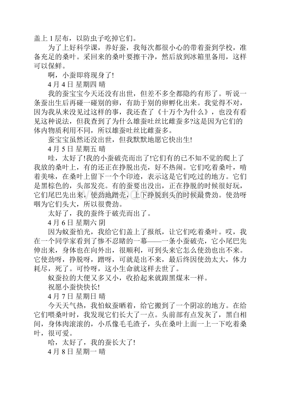 小学三年级语文作文蚕宝宝观察日记.docx_第3页