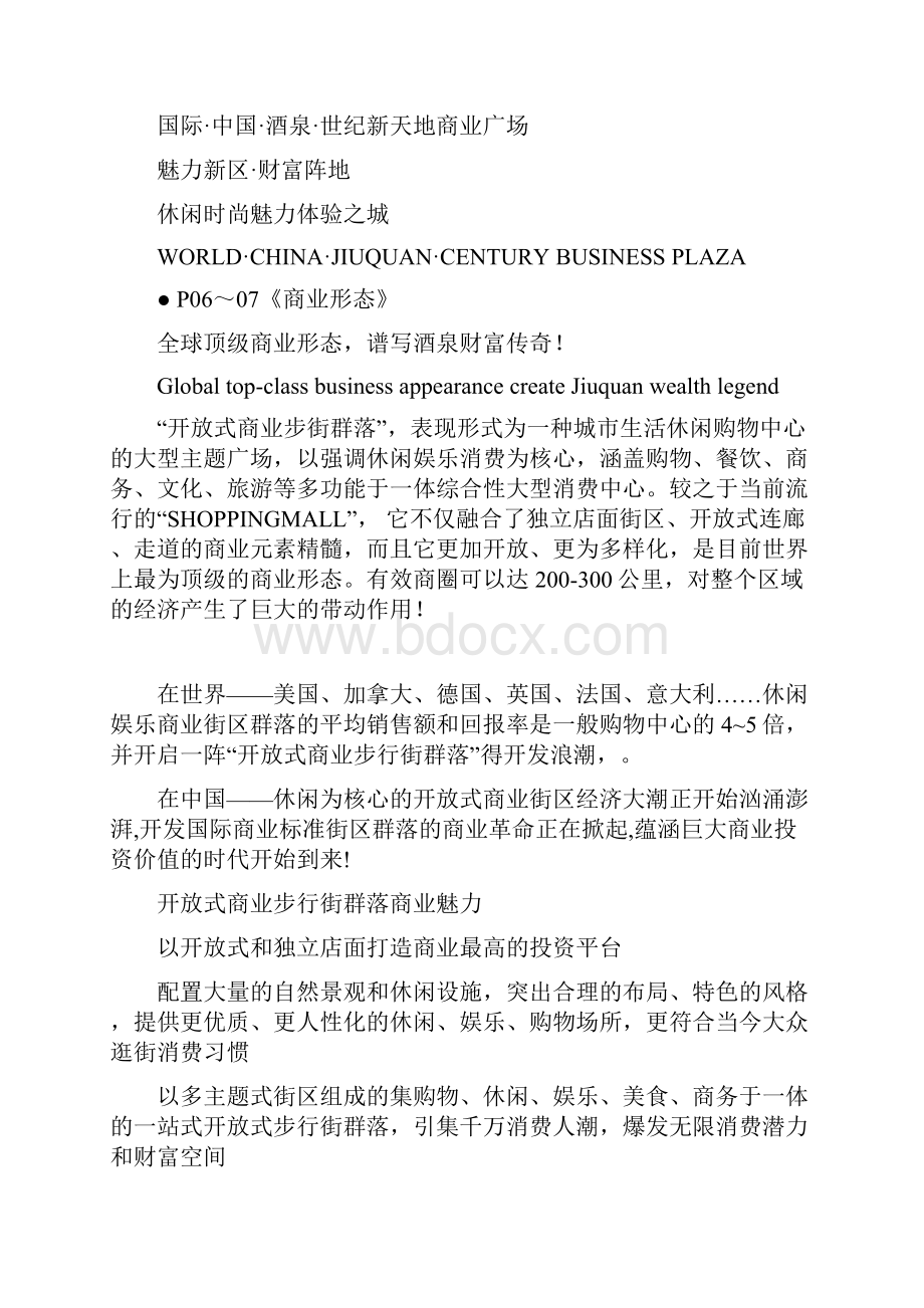 世纪新天地商业广场招商手册文案学习资料.docx_第2页