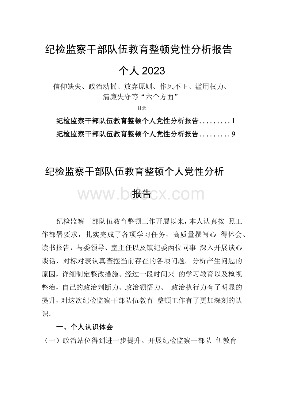 纪检监察干部队伍教育整顿党性分析报告个人2023两篇.docx_第1页