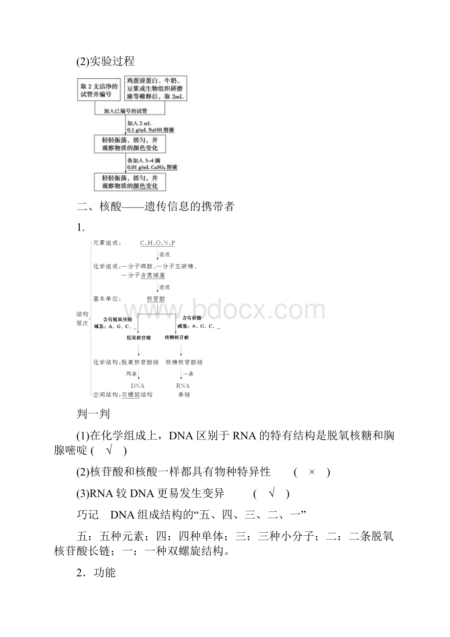 高中语文第一单元第2讲蛋白质和核酸的结构和功能教学设计.docx_第3页