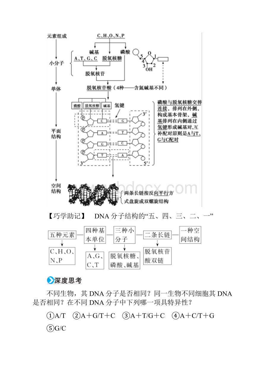 高考生物一轮复习第六单元遗传的分子基础第18讲DNA的结构复制与基因的本质习题.docx_第2页