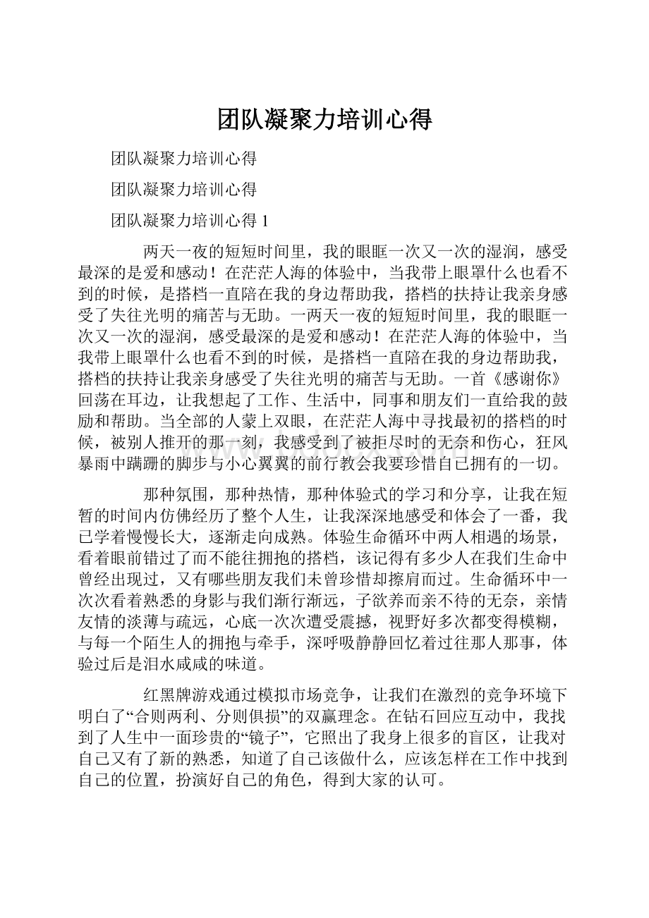 团队凝聚力培训心得.docx