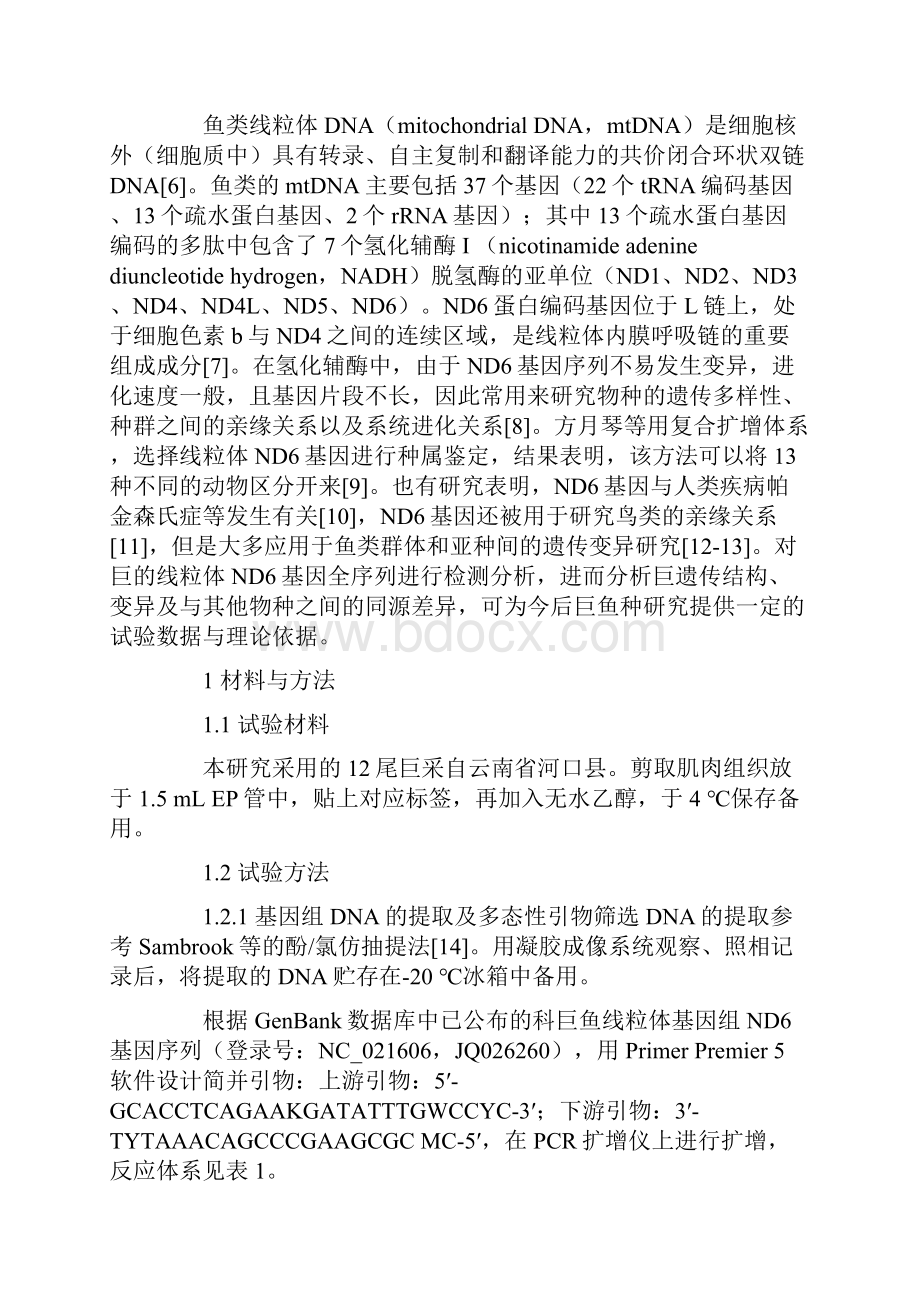 巨线粒体DNAND6基因克隆及多态性分析.docx_第2页