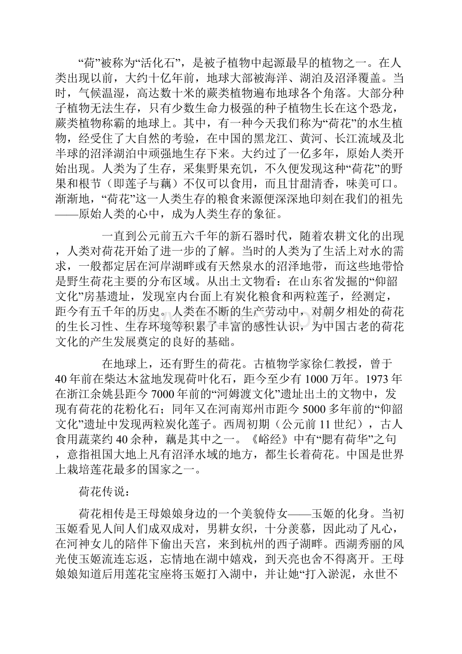 语文课外阅读专题研究之荷花.docx_第2页