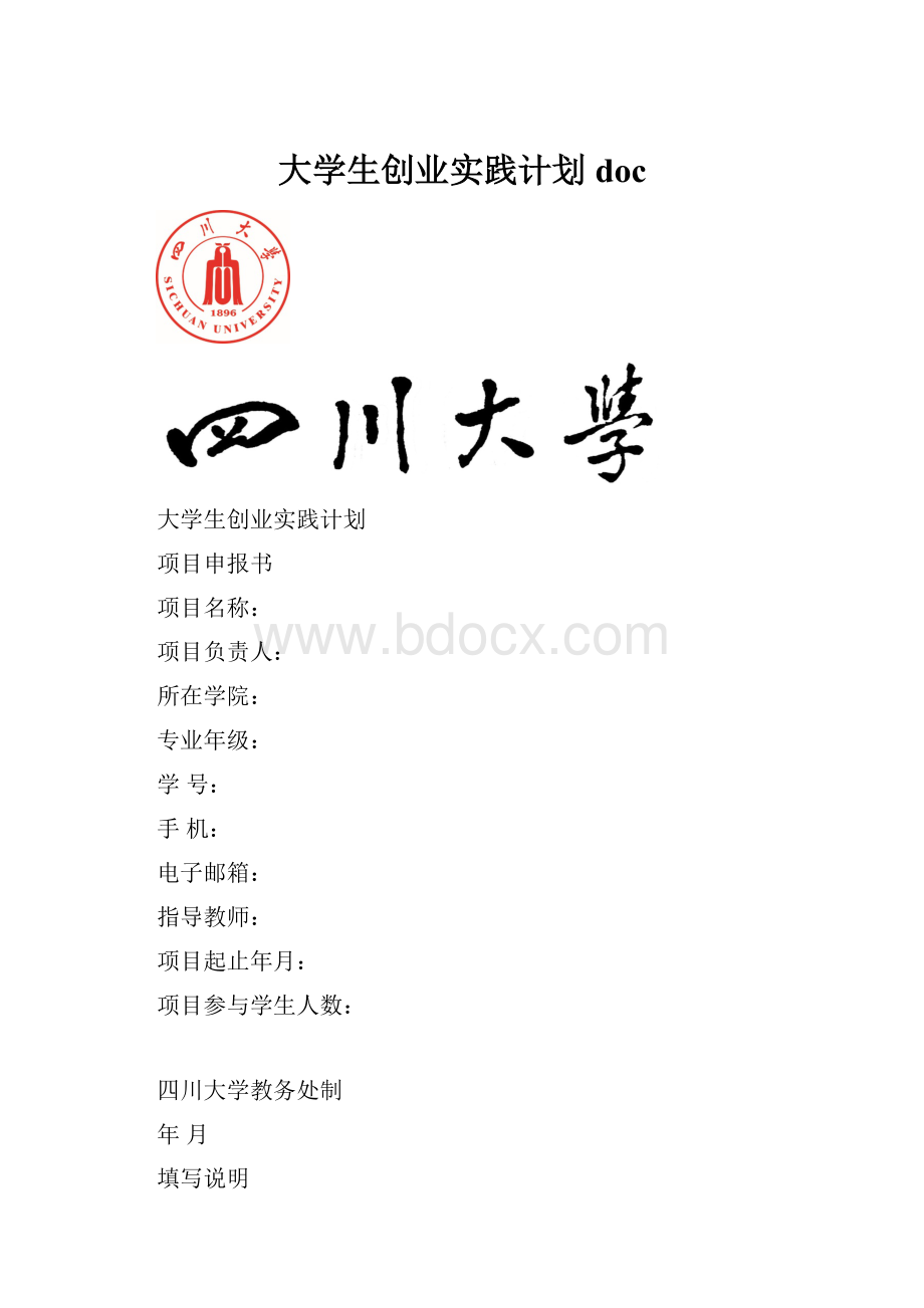 大学生创业实践计划doc.docx_第1页