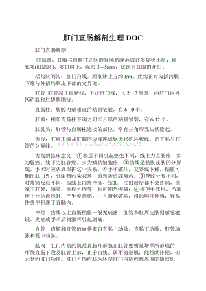 肛门直肠解剖生理DOC.docx