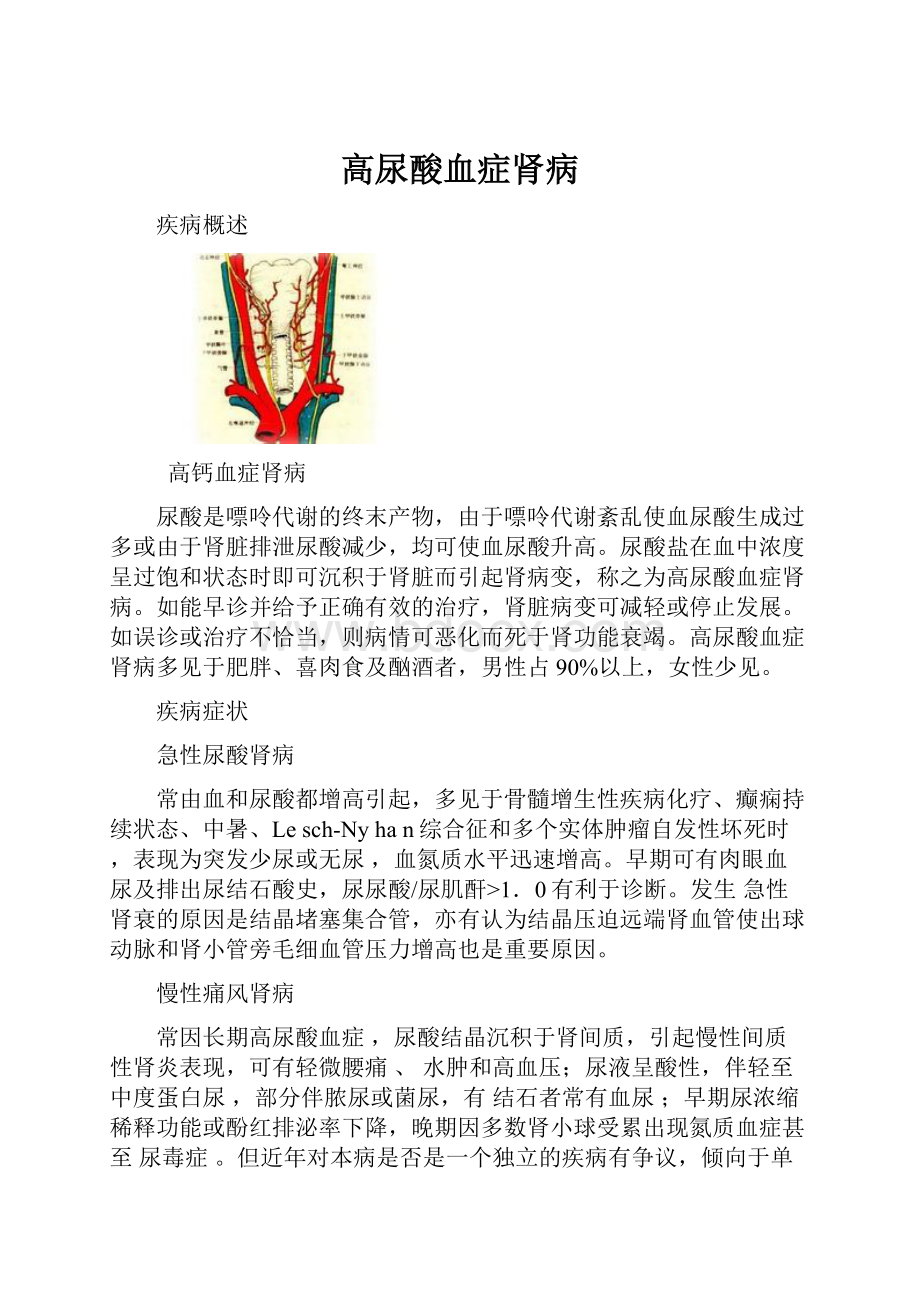 高尿酸血症肾病.docx