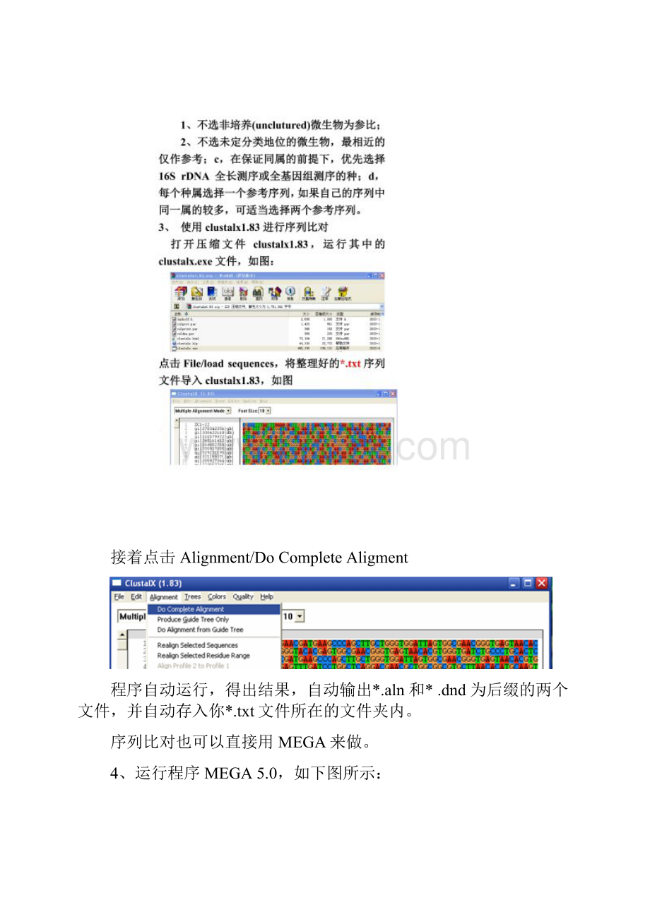 生物学利用MEGA50和Clustalx软件构建进化树.docx_第3页