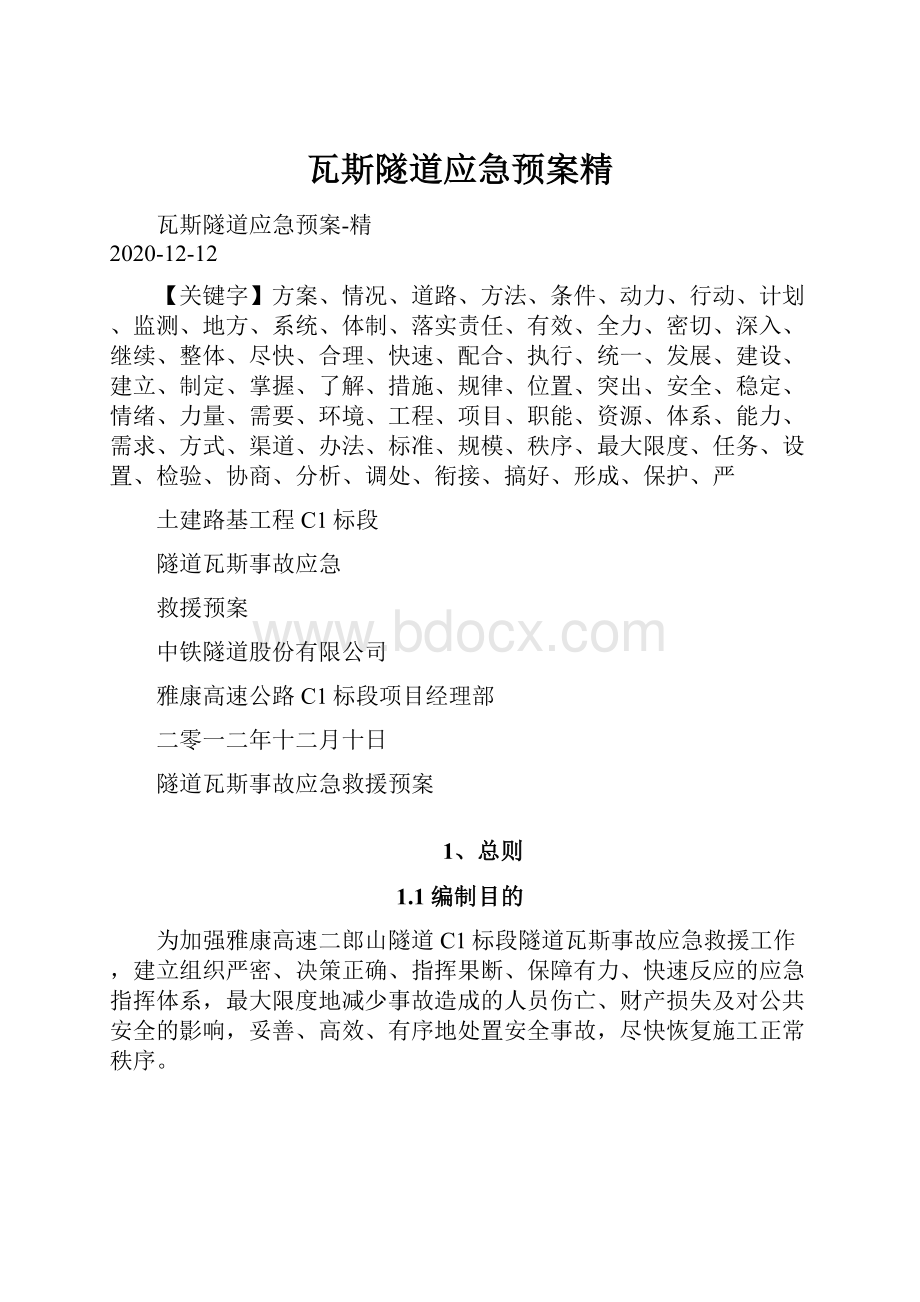 瓦斯隧道应急预案精.docx