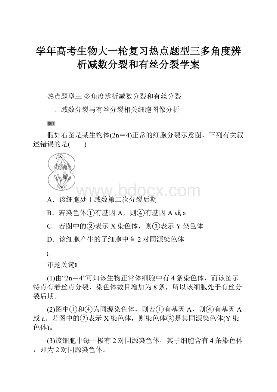 学年高考生物大一轮复习热点题型三多角度辨析减数分裂和有丝分裂学案.docx_第1页