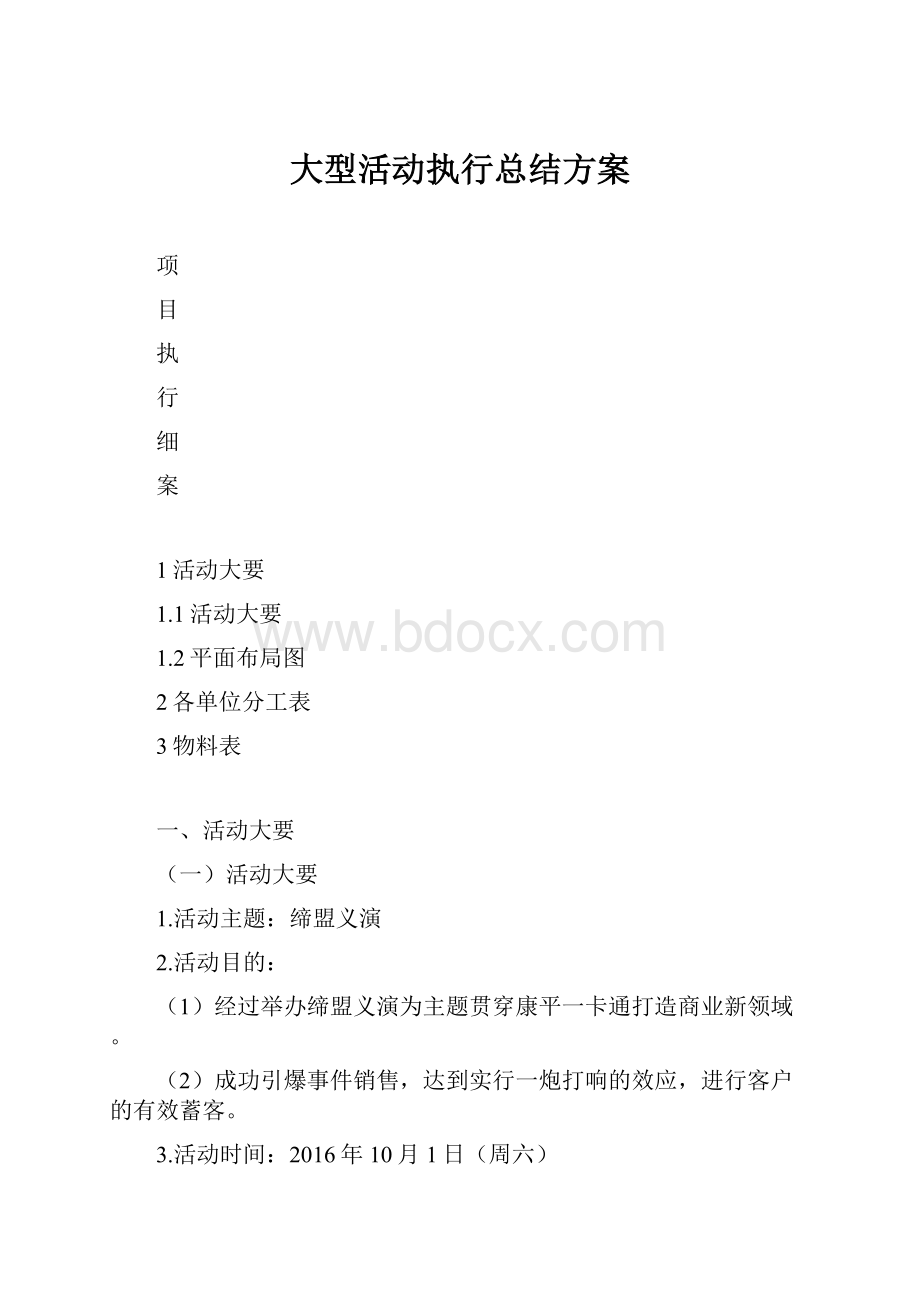 大型活动执行总结方案.docx