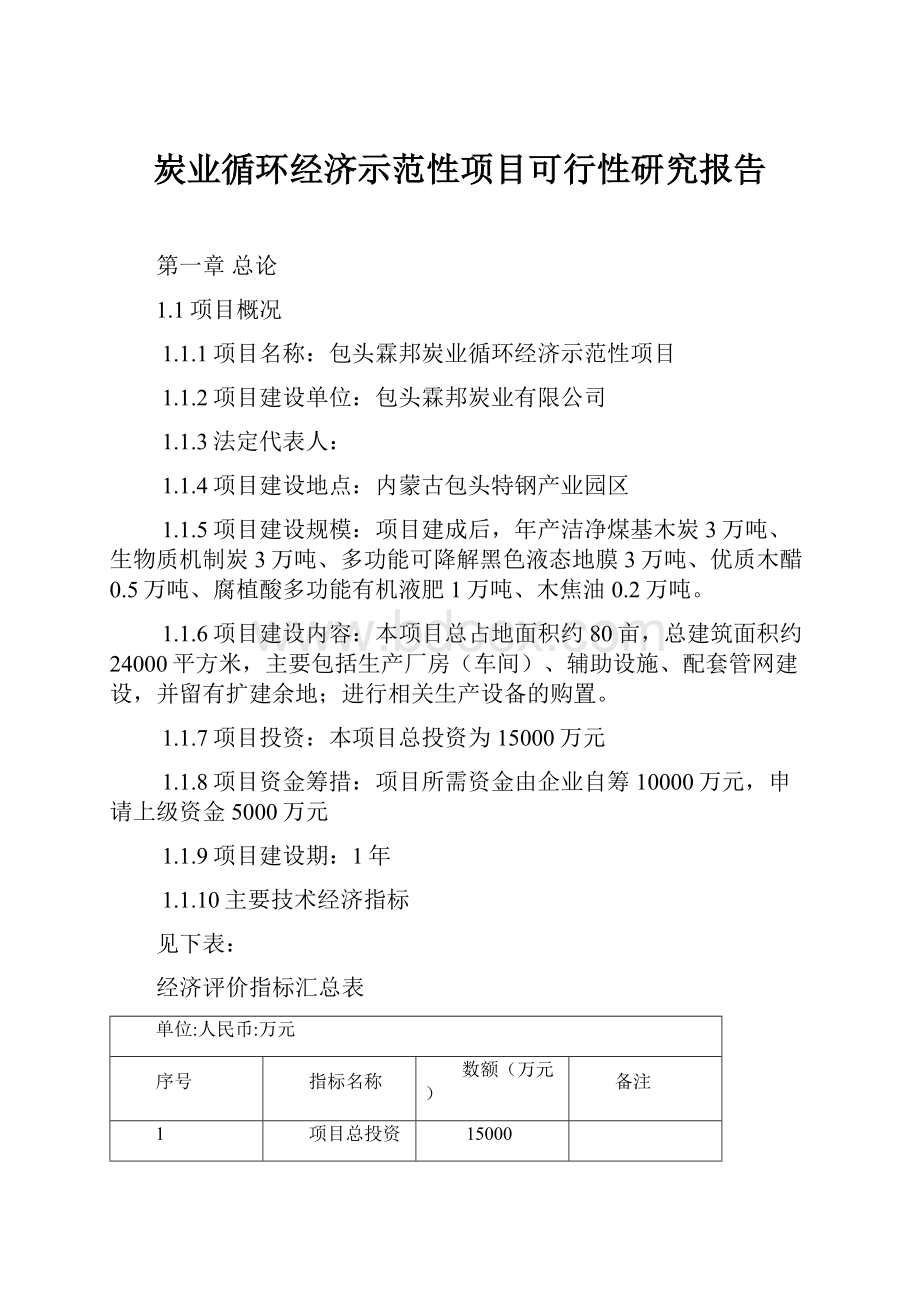 炭业循环经济示范性项目可行性研究报告.docx