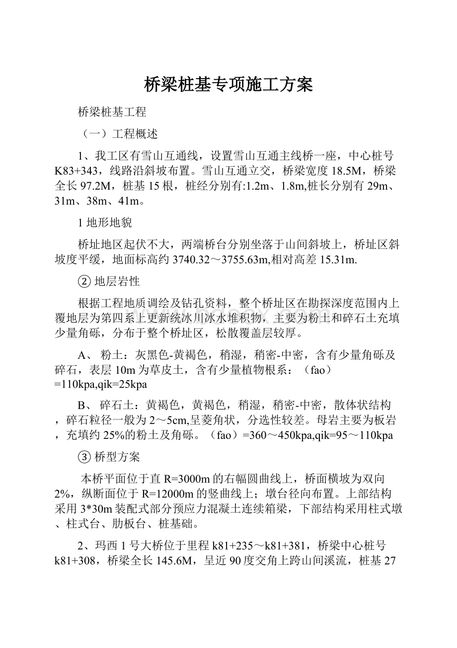 桥梁桩基专项施工方案.docx_第1页