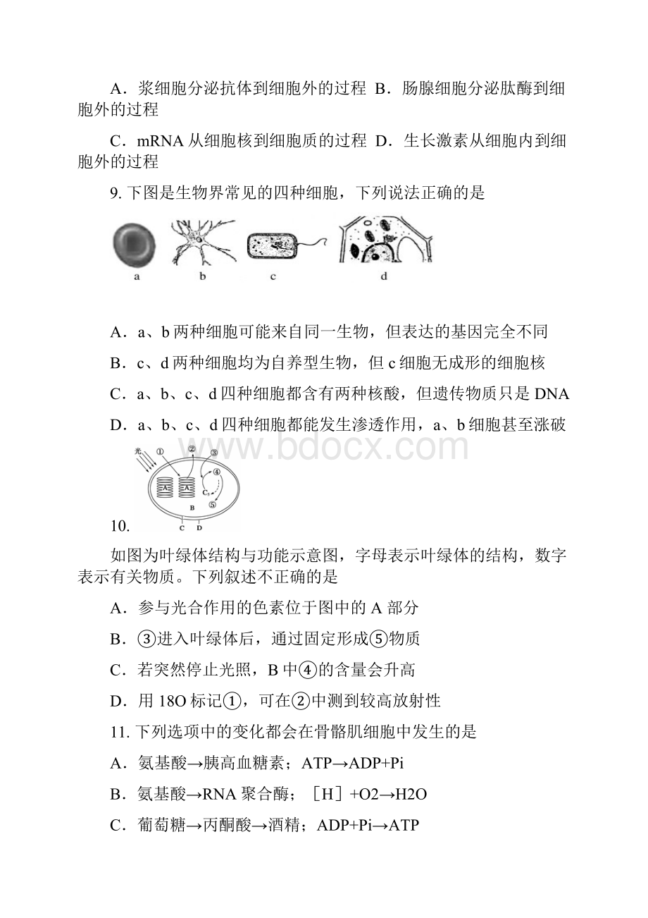 生物卷届北京市海淀区高三上学期期中考试11.docx_第3页