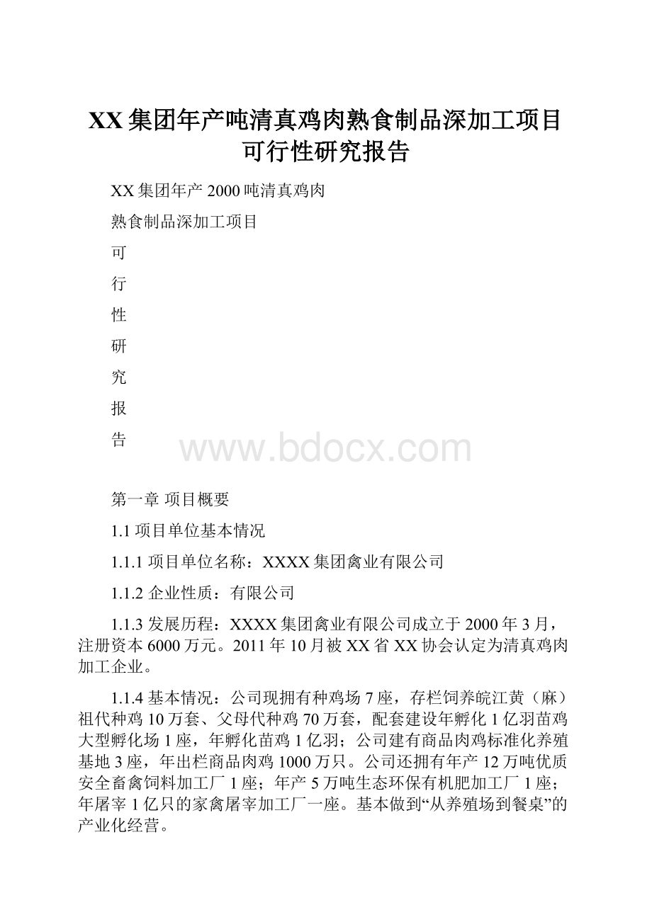 XX集团年产吨清真鸡肉熟食制品深加工项目可行性研究报告.docx