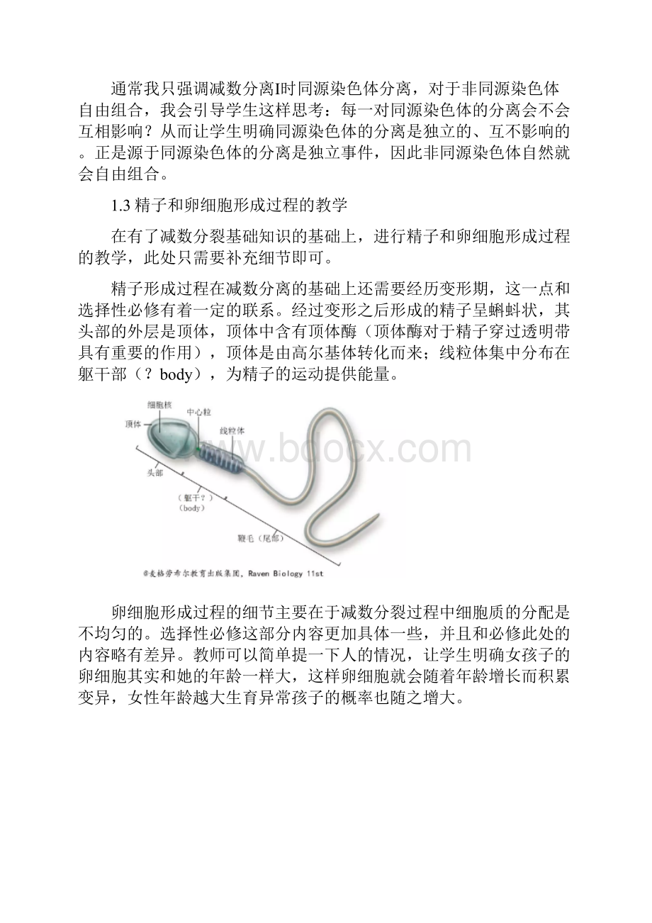 高中生物新教材减数分裂与受精作用解读.docx_第3页