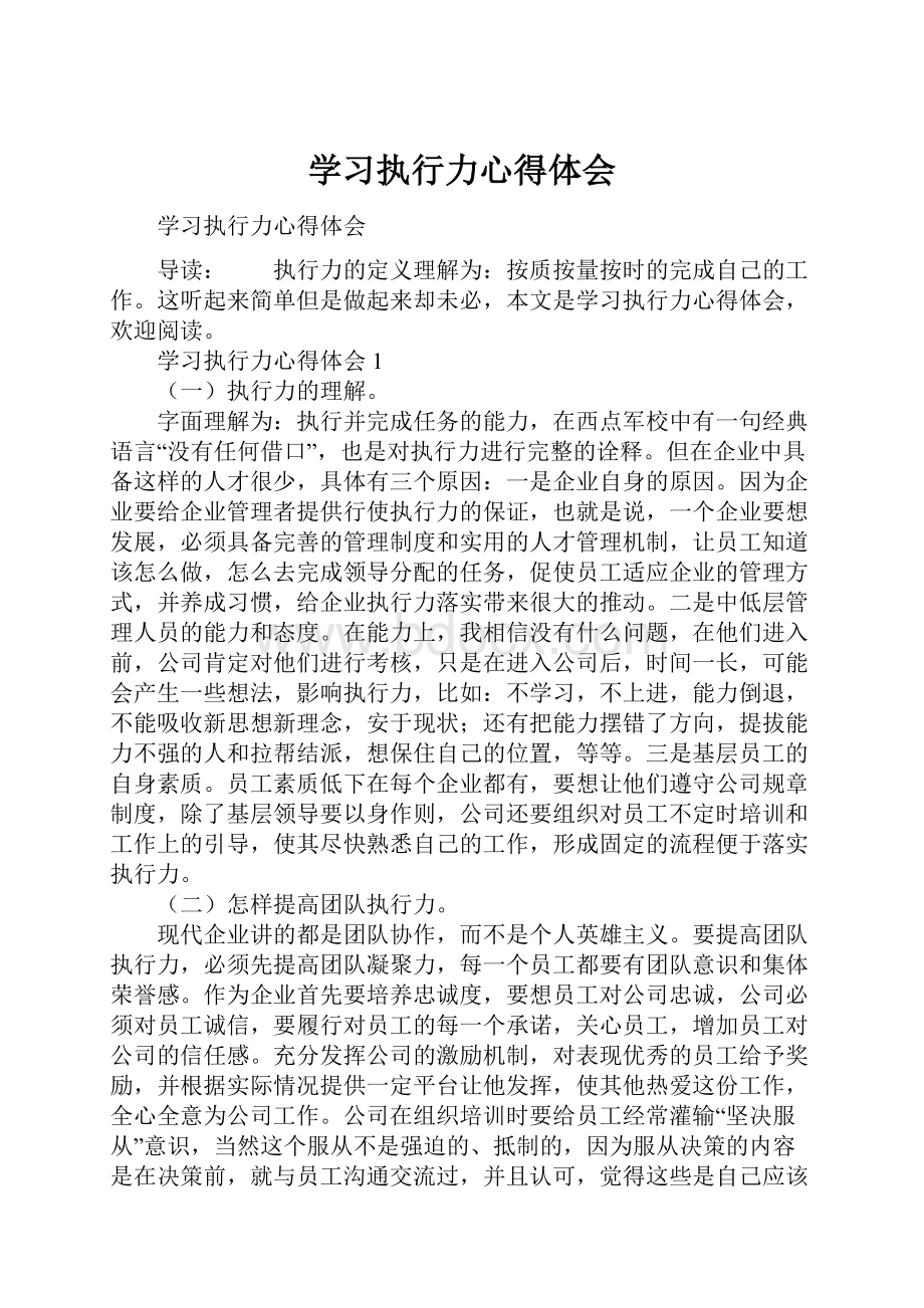 学习执行力心得体会.docx