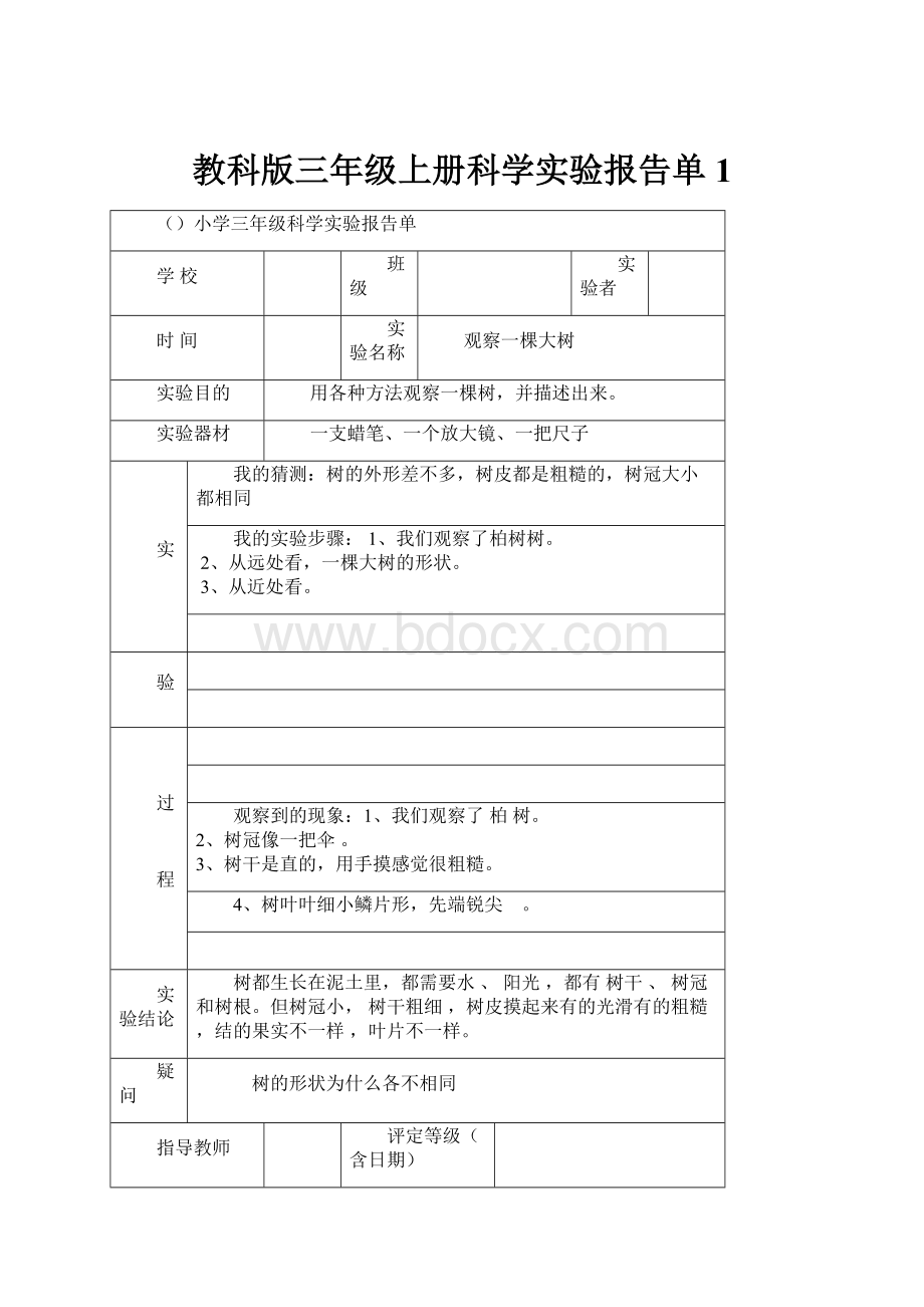 教科版三年级上册科学实验报告单1.docx