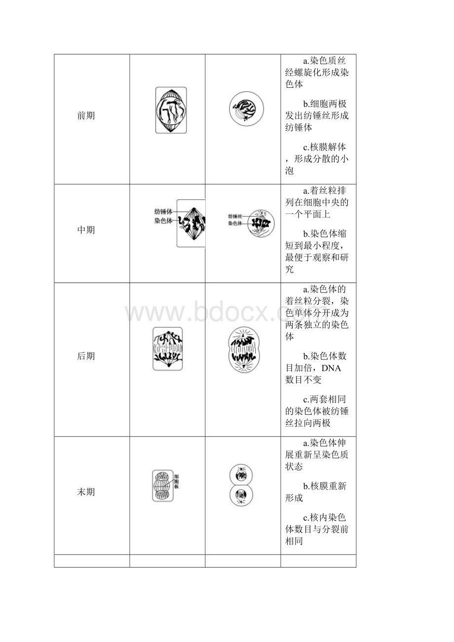 届高三生物浙江选考一轮复习文档 必修1 第4章 第10讲 细胞的增殖 教师用书.docx_第3页