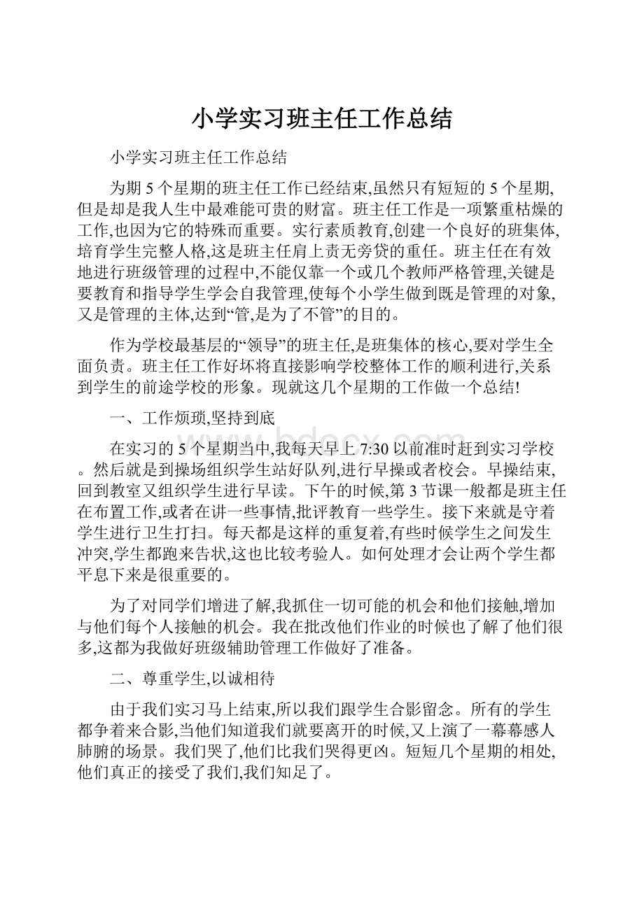 小学实习班主任工作总结.docx