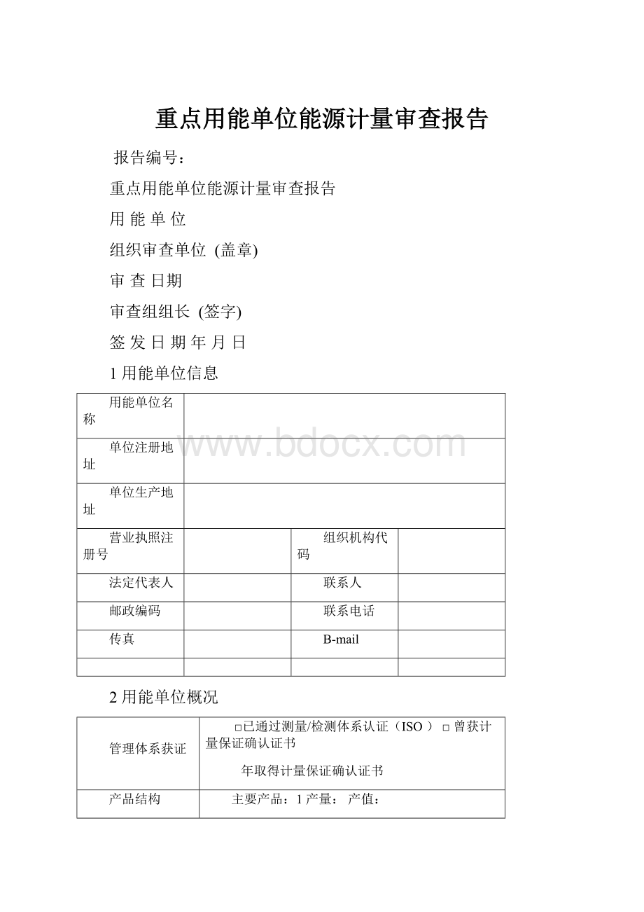 重点用能单位能源计量审查报告.docx