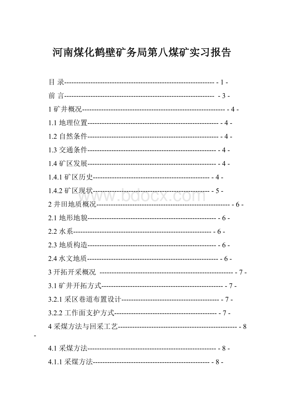 河南煤化鹤壁矿务局第八煤矿实习报告.docx_第1页