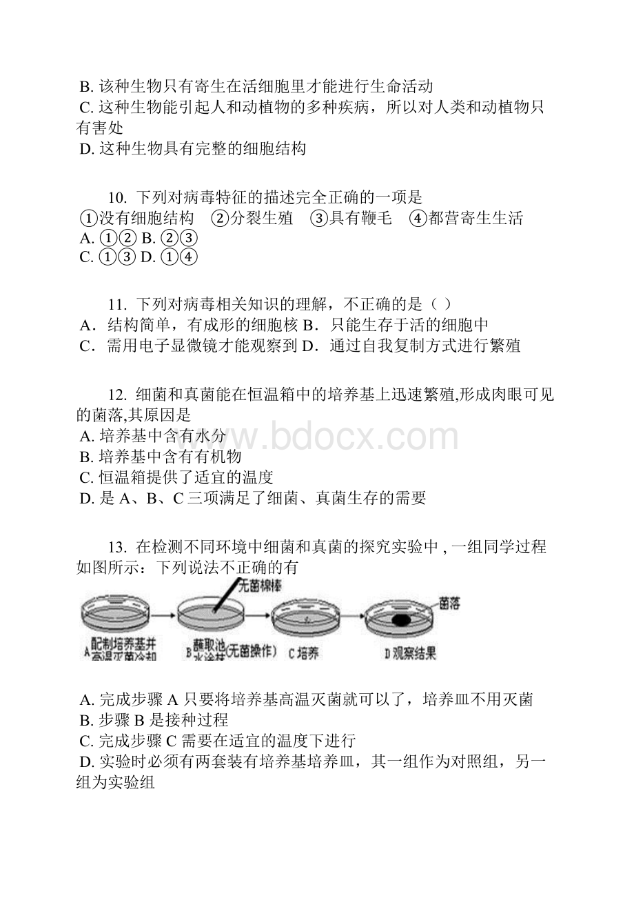 人教版学年八年级上册生物同步多维训练55病毒含答案及解析.docx_第3页