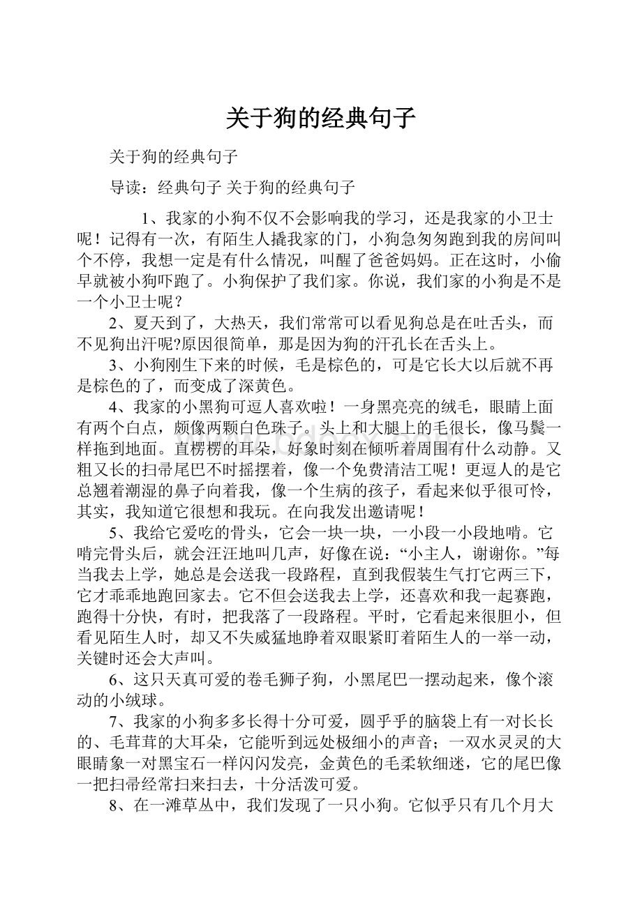 关于狗的经典句子.docx