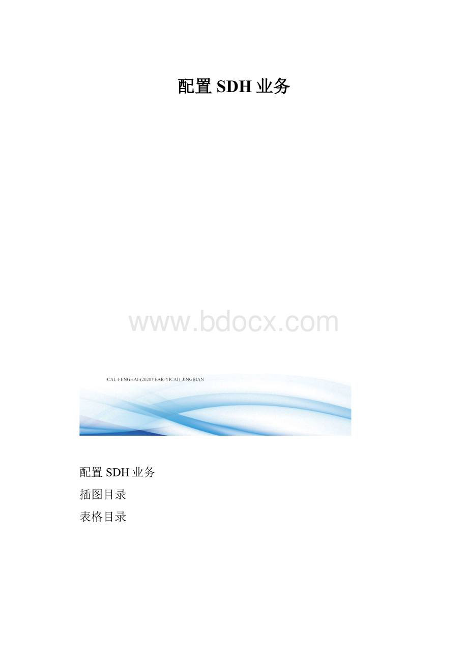 配置SDH业务.docx