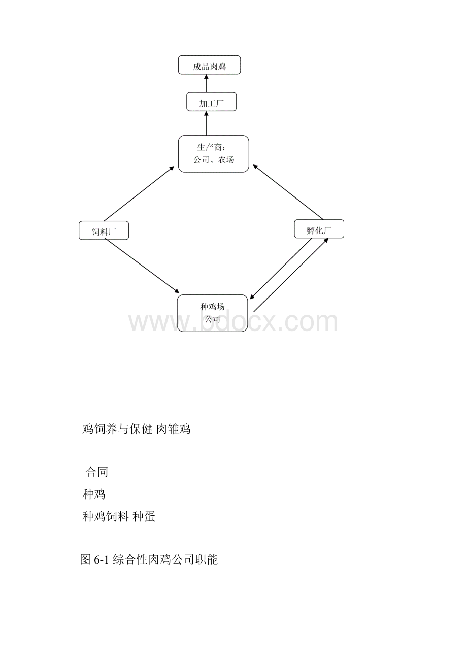 肉鸡生产流程.docx_第3页